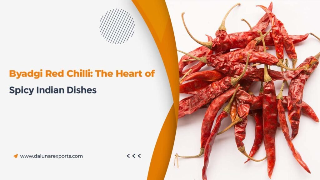 Byadgi Red Chilli