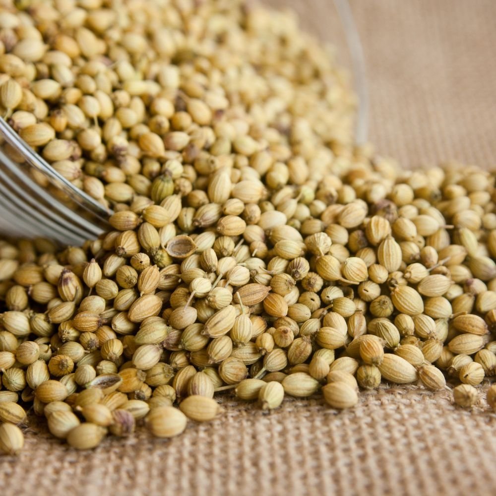 Dry Coriander vs. Fresh Coriander